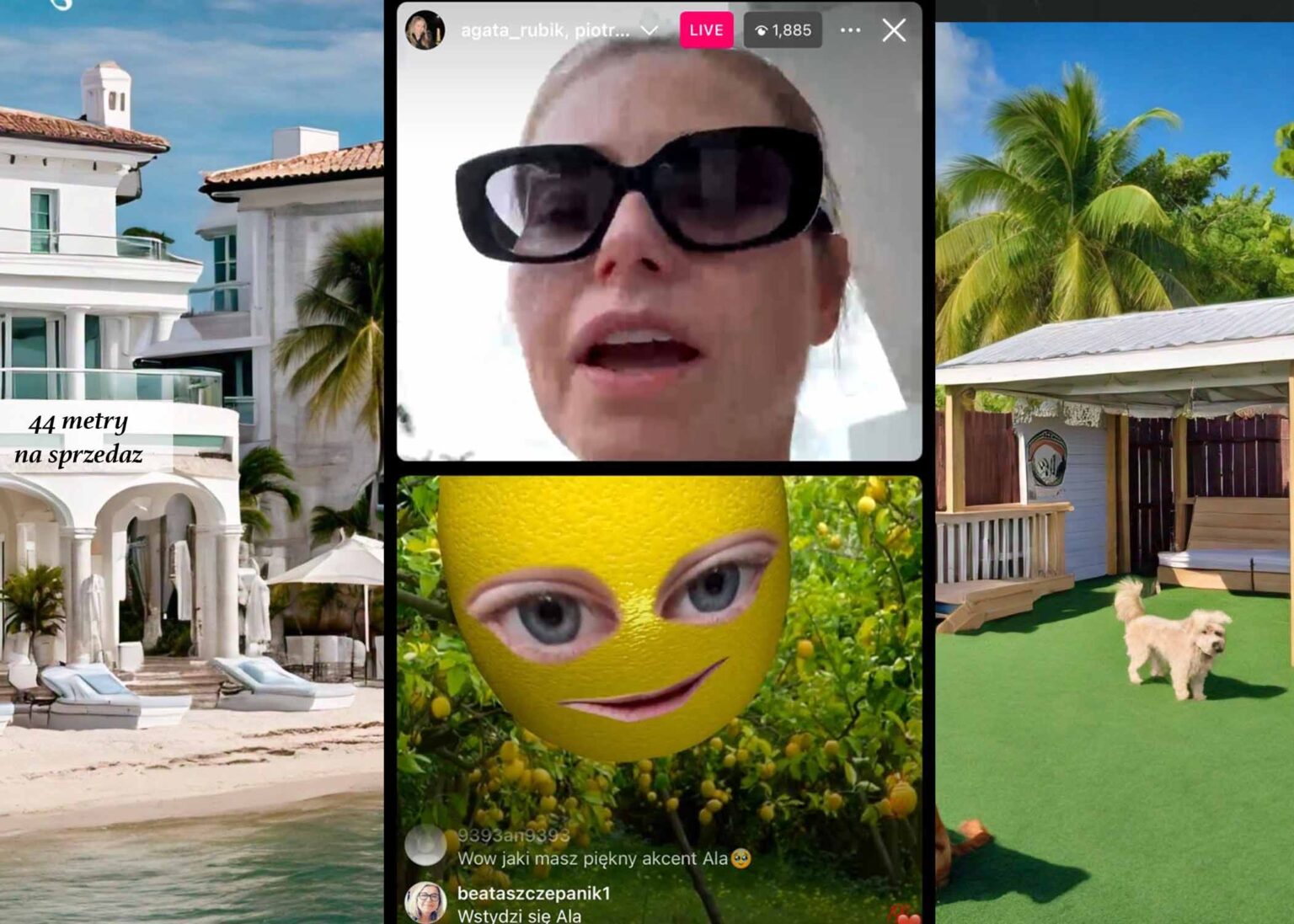 44 Metry Absurdu w Słodkim Wydaniu Brownie – Agata Rubik Rozwiewa Wątpliwości na Live 44 Metry Absurdu w Słodkim Wydaniu Brownie - Agata Rubik Rozwiewa Wątpliwości na Live