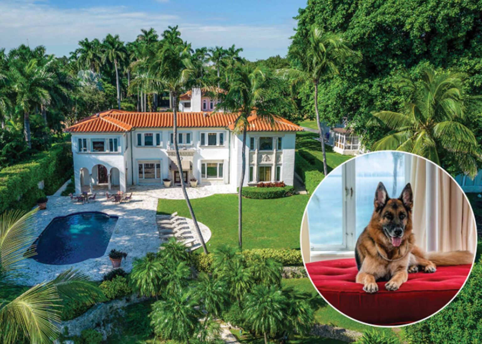 Plotki MIami - Gunther i Żony Miami