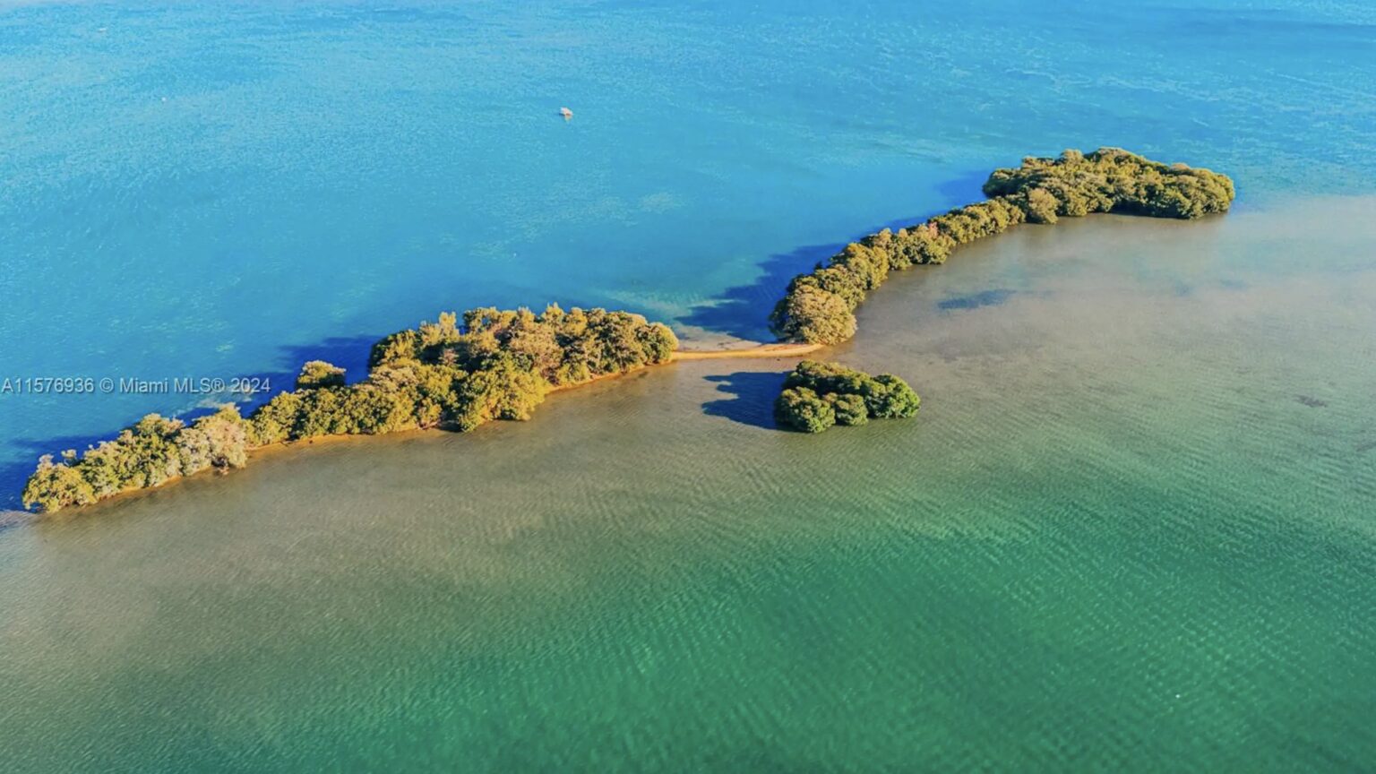 Kontrowersje w Miami: Prywatna wyspa Bird Key na sprzedaż za 31,5 miliona dolarów Key Bird Island Miami